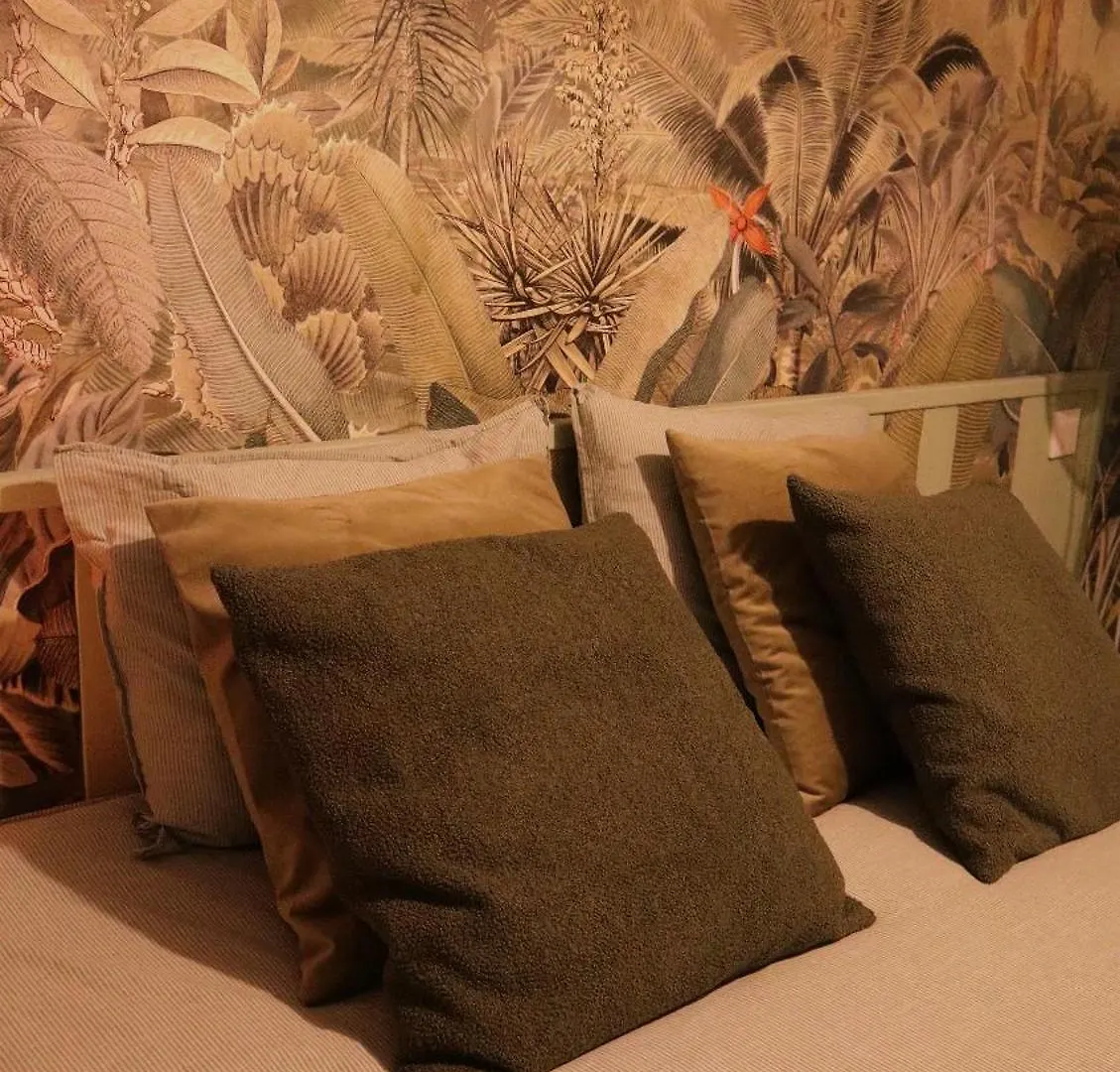 Oasis De Bornos Maison Entiere 0*,